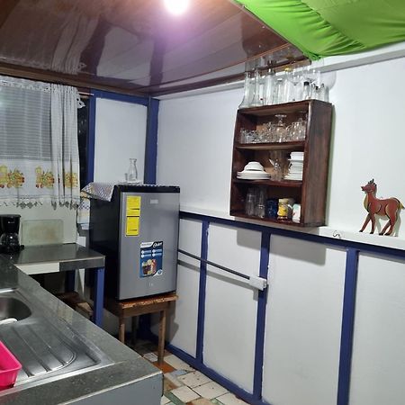 Wildlife Art Tortuguero Hotel Ngoại thất bức ảnh