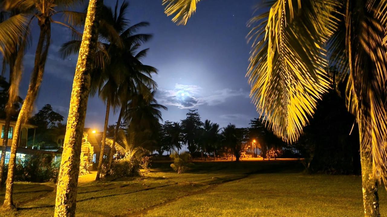 Wildlife Art Tortuguero Hotel Ngoại thất bức ảnh