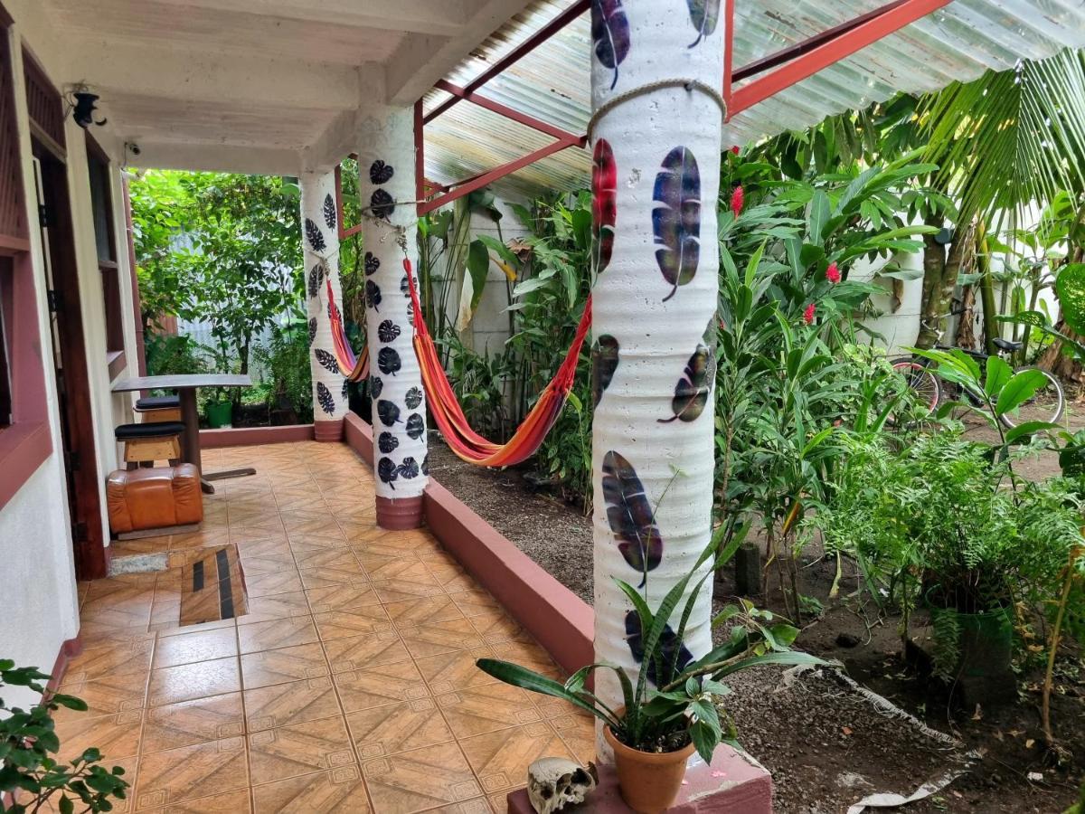 Wildlife Art Tortuguero Hotel Ngoại thất bức ảnh