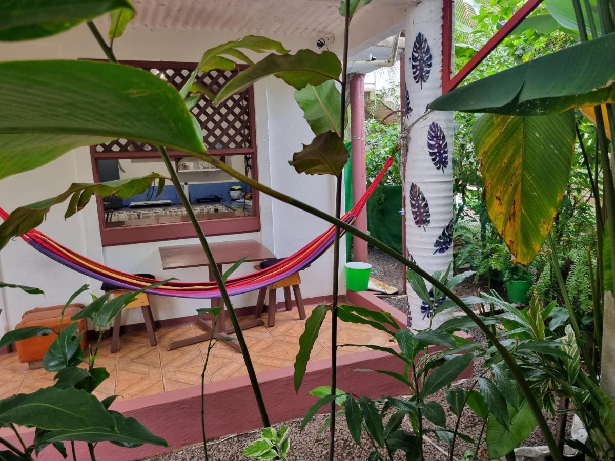 Wildlife Art Tortuguero Hotel Ngoại thất bức ảnh
