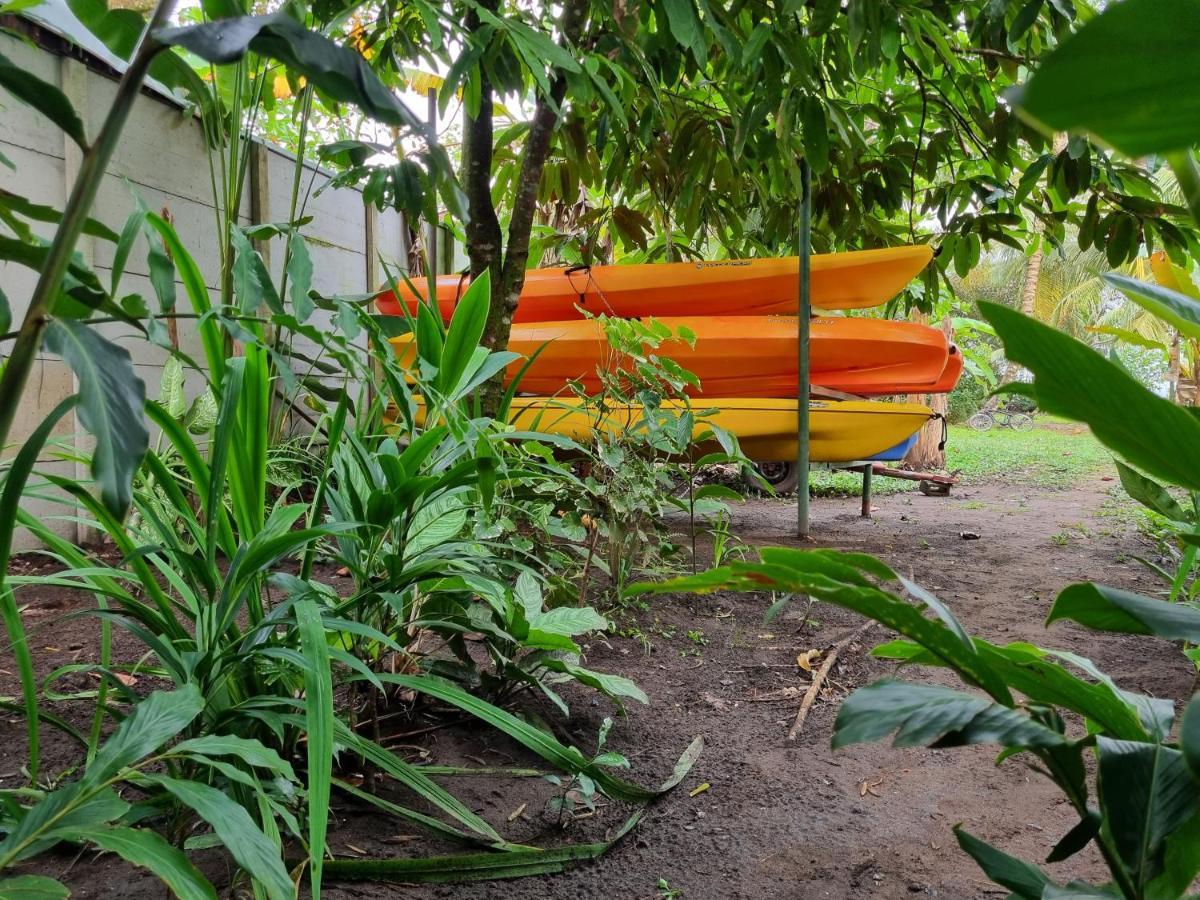 Wildlife Art Tortuguero Hotel Ngoại thất bức ảnh