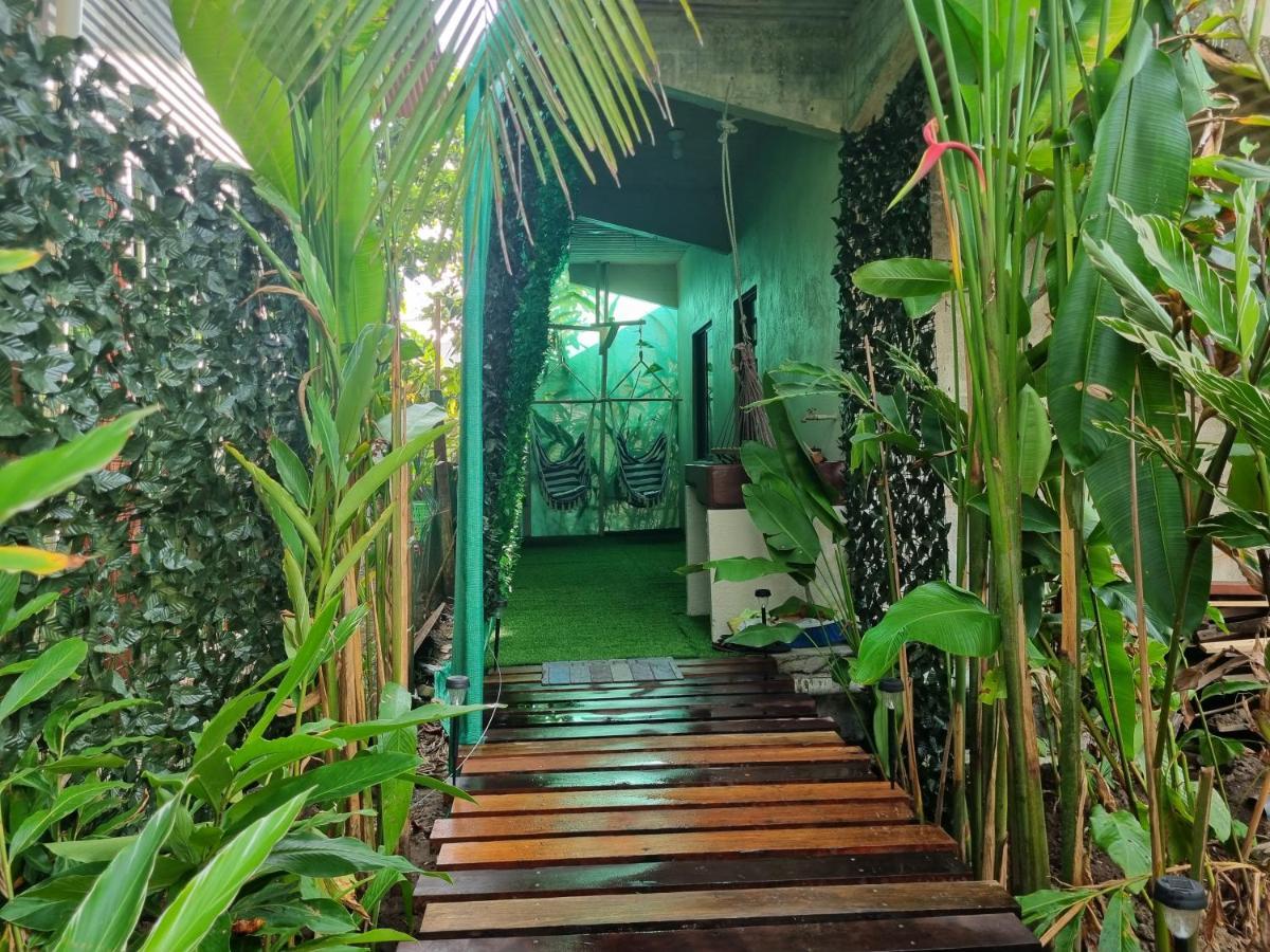 Wildlife Art Tortuguero Hotel Ngoại thất bức ảnh