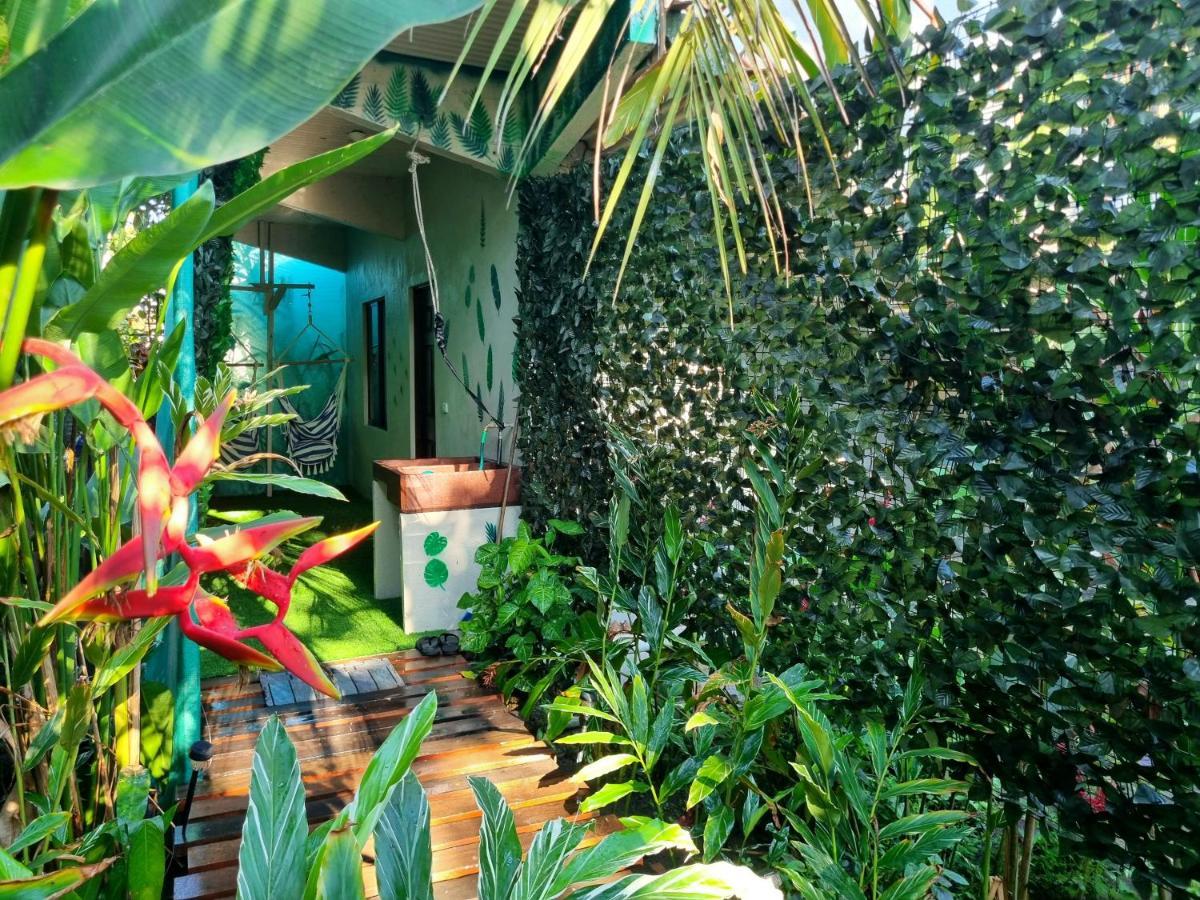 Wildlife Art Tortuguero Hotel Ngoại thất bức ảnh