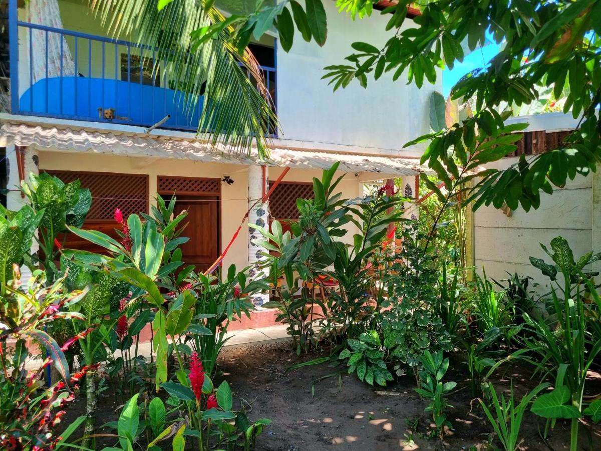 Wildlife Art Tortuguero Hotel Ngoại thất bức ảnh