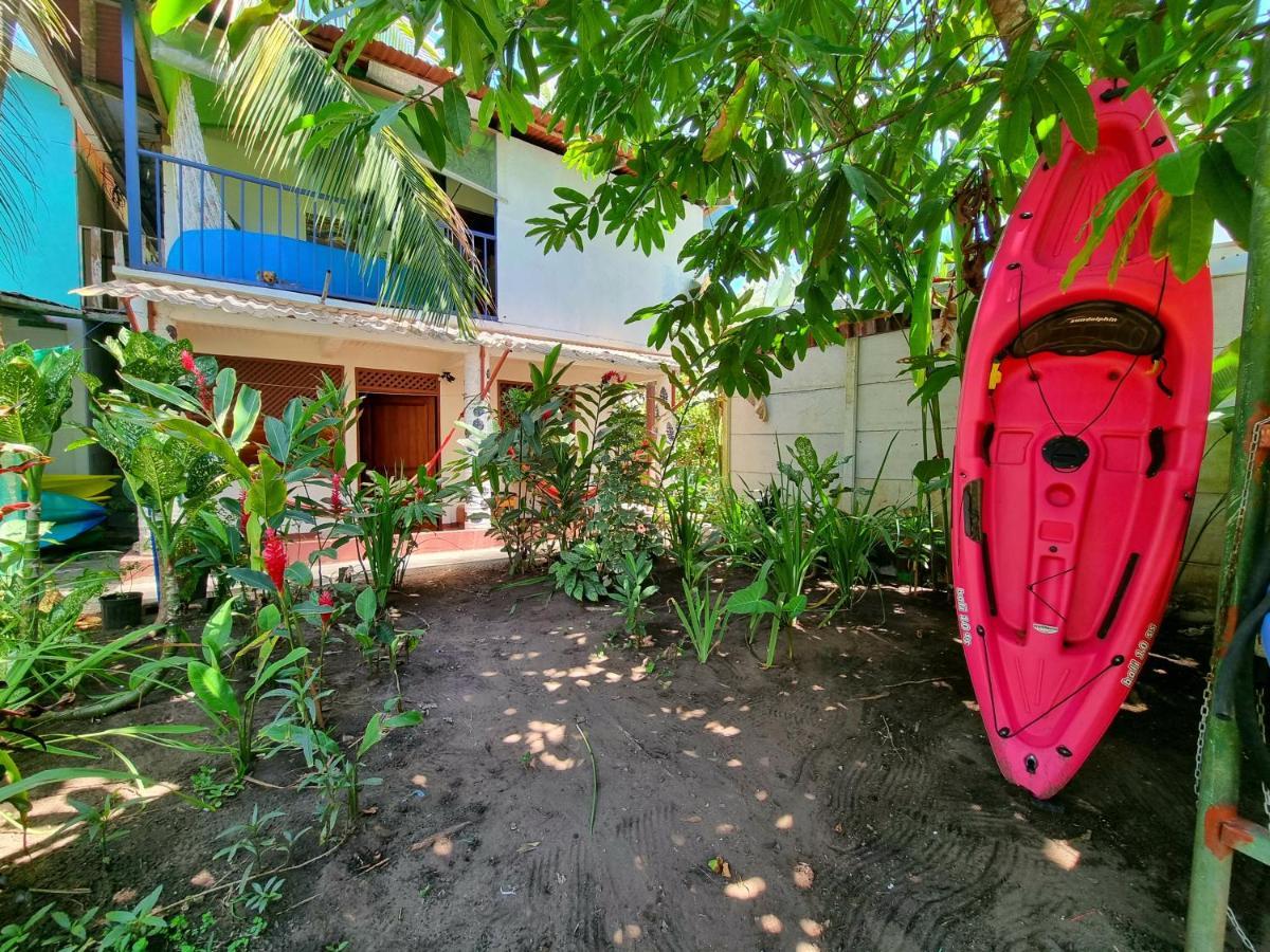 Wildlife Art Tortuguero Hotel Ngoại thất bức ảnh