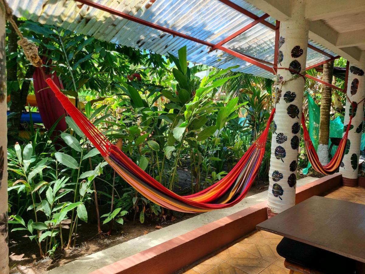 Wildlife Art Tortuguero Hotel Ngoại thất bức ảnh