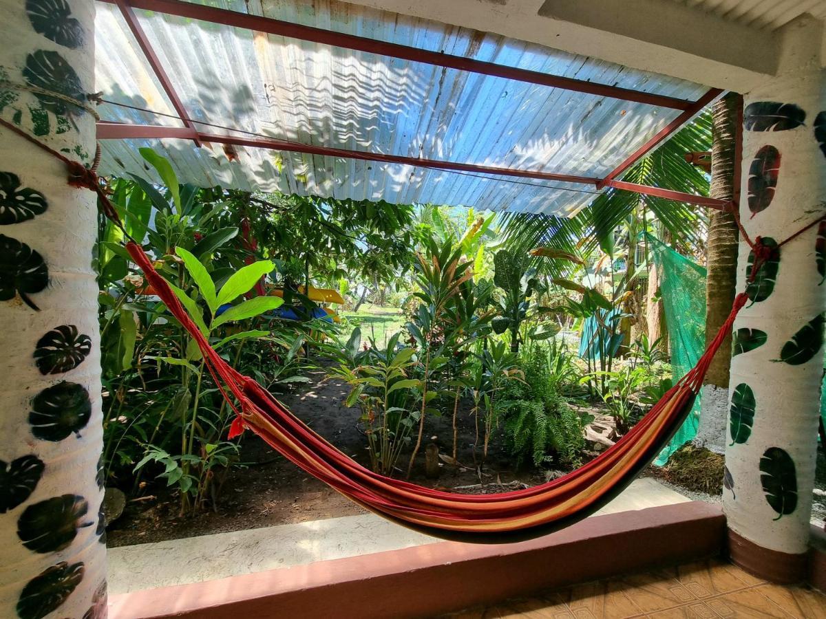 Wildlife Art Tortuguero Hotel Ngoại thất bức ảnh