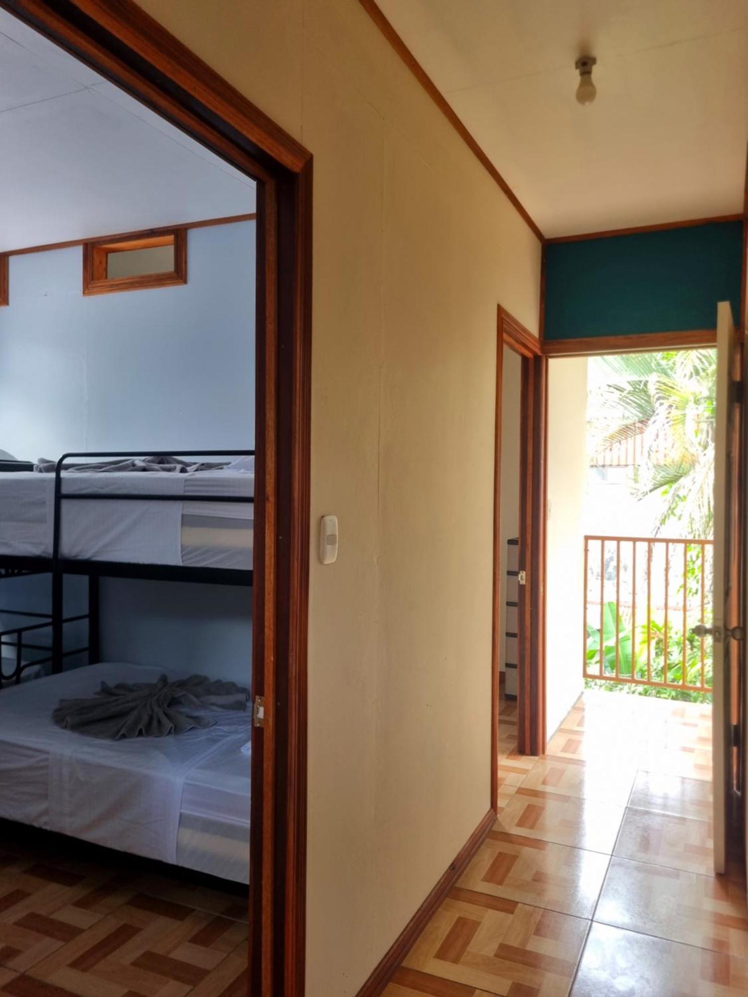 Wildlife Art Tortuguero Hotel Ngoại thất bức ảnh