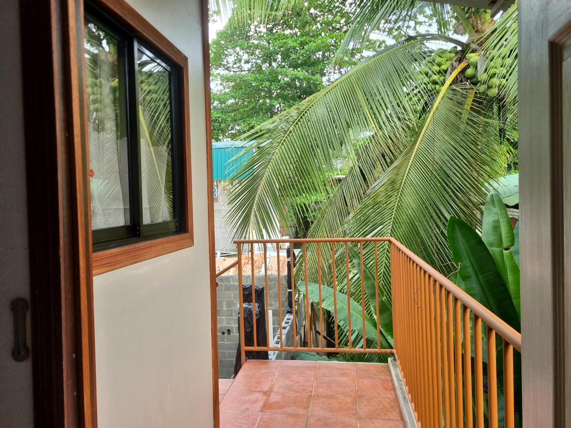 Wildlife Art Tortuguero Hotel Ngoại thất bức ảnh