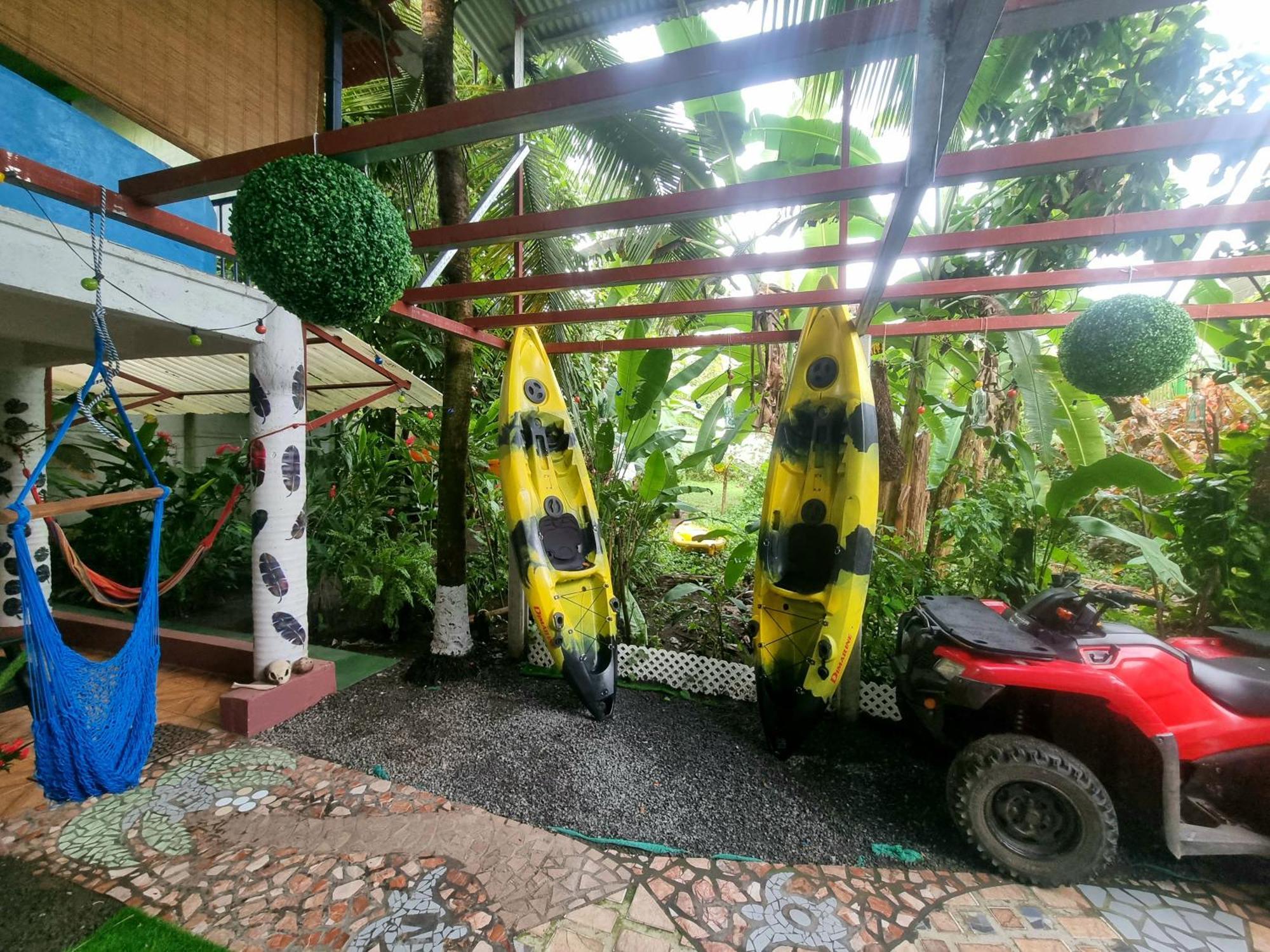 Wildlife Art Tortuguero Hotel Ngoại thất bức ảnh