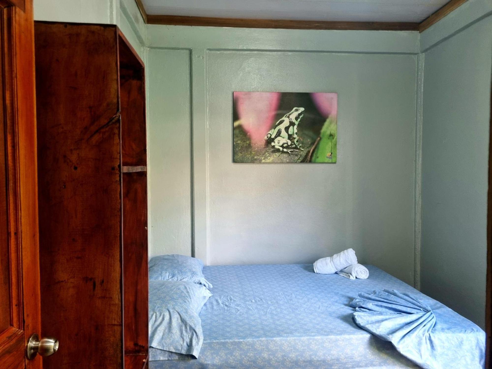 Wildlife Art Tortuguero Hotel Ngoại thất bức ảnh