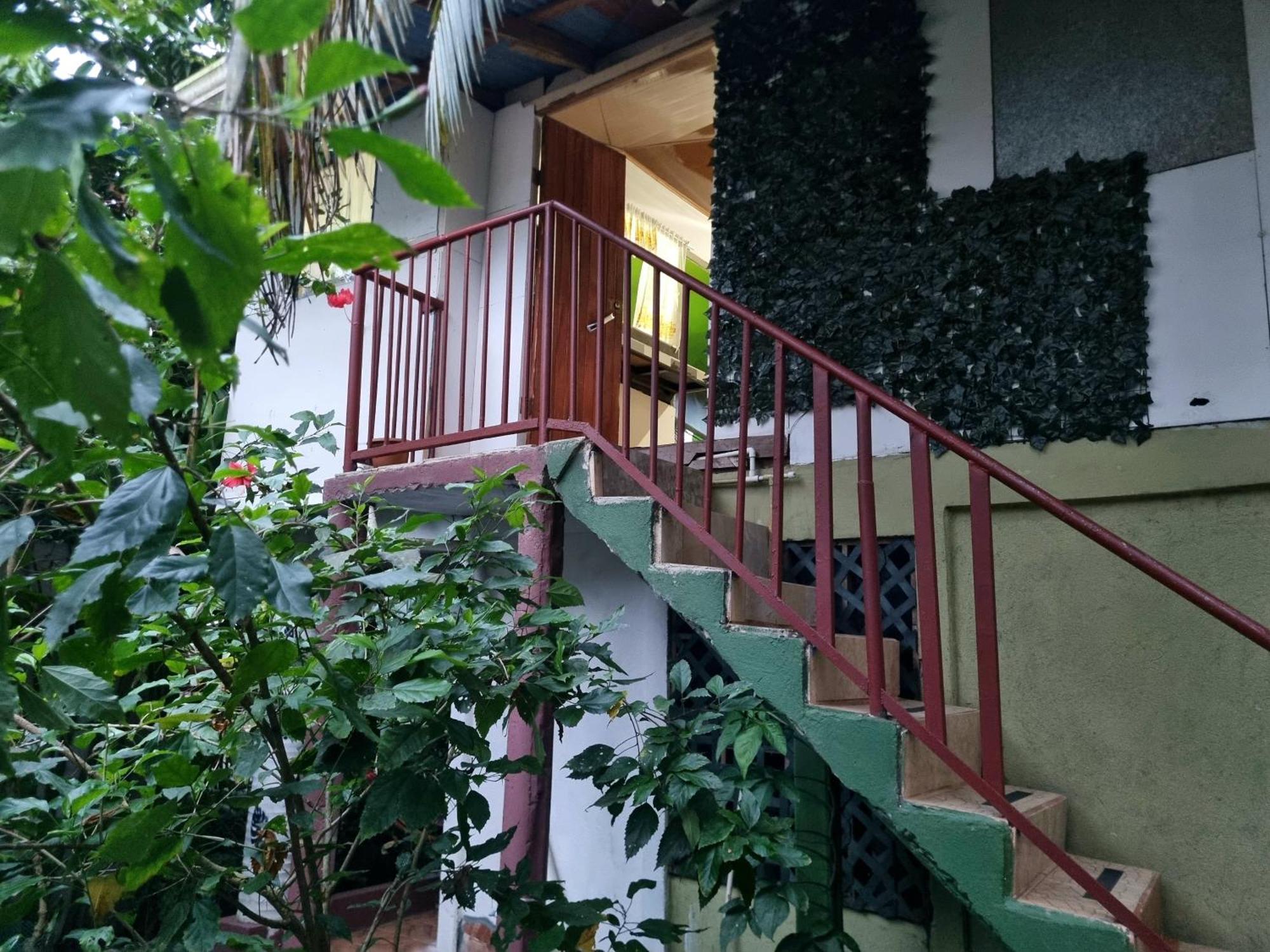 Wildlife Art Tortuguero Hotel Ngoại thất bức ảnh