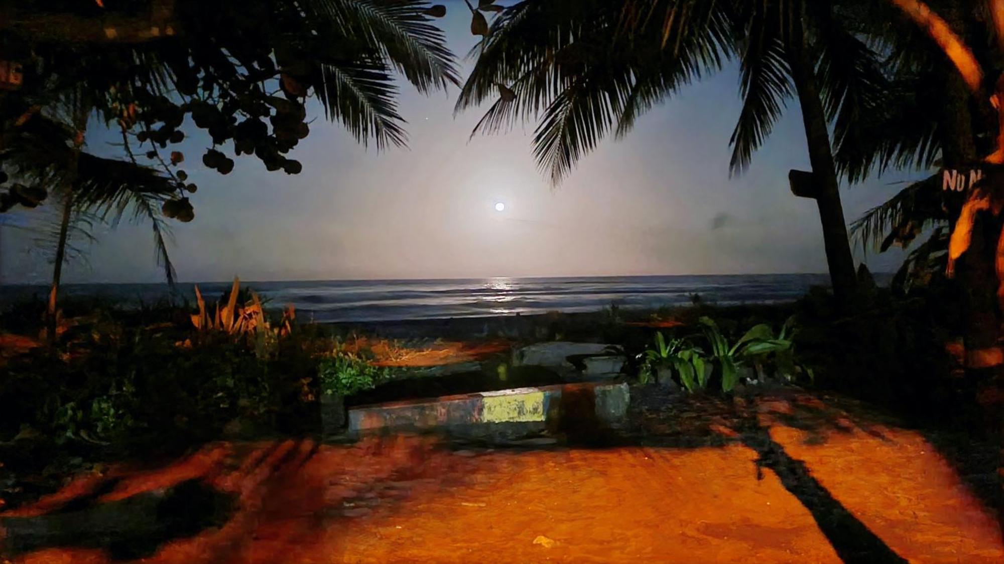 Wildlife Art Tortuguero Hotel Ngoại thất bức ảnh
