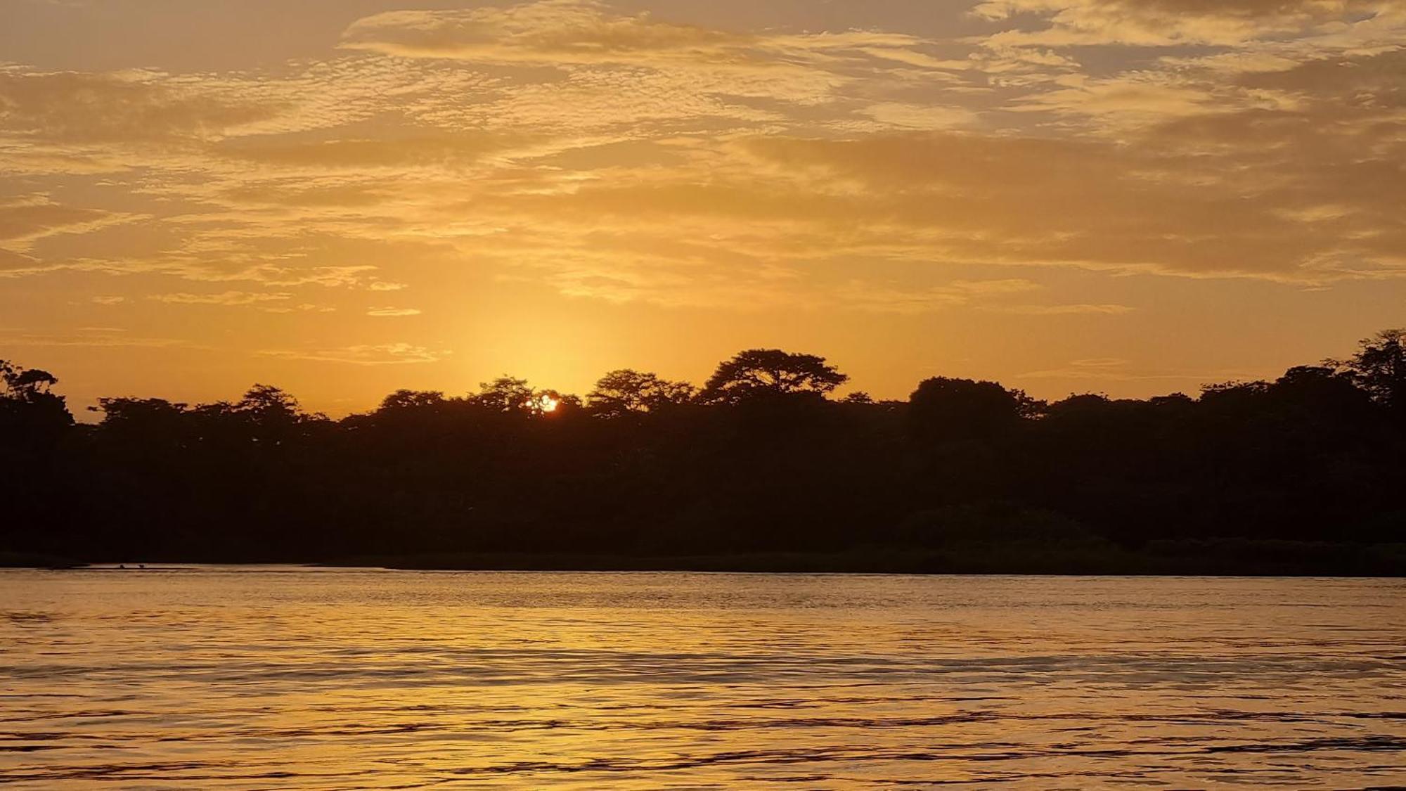 Wildlife Art Tortuguero Hotel Ngoại thất bức ảnh
