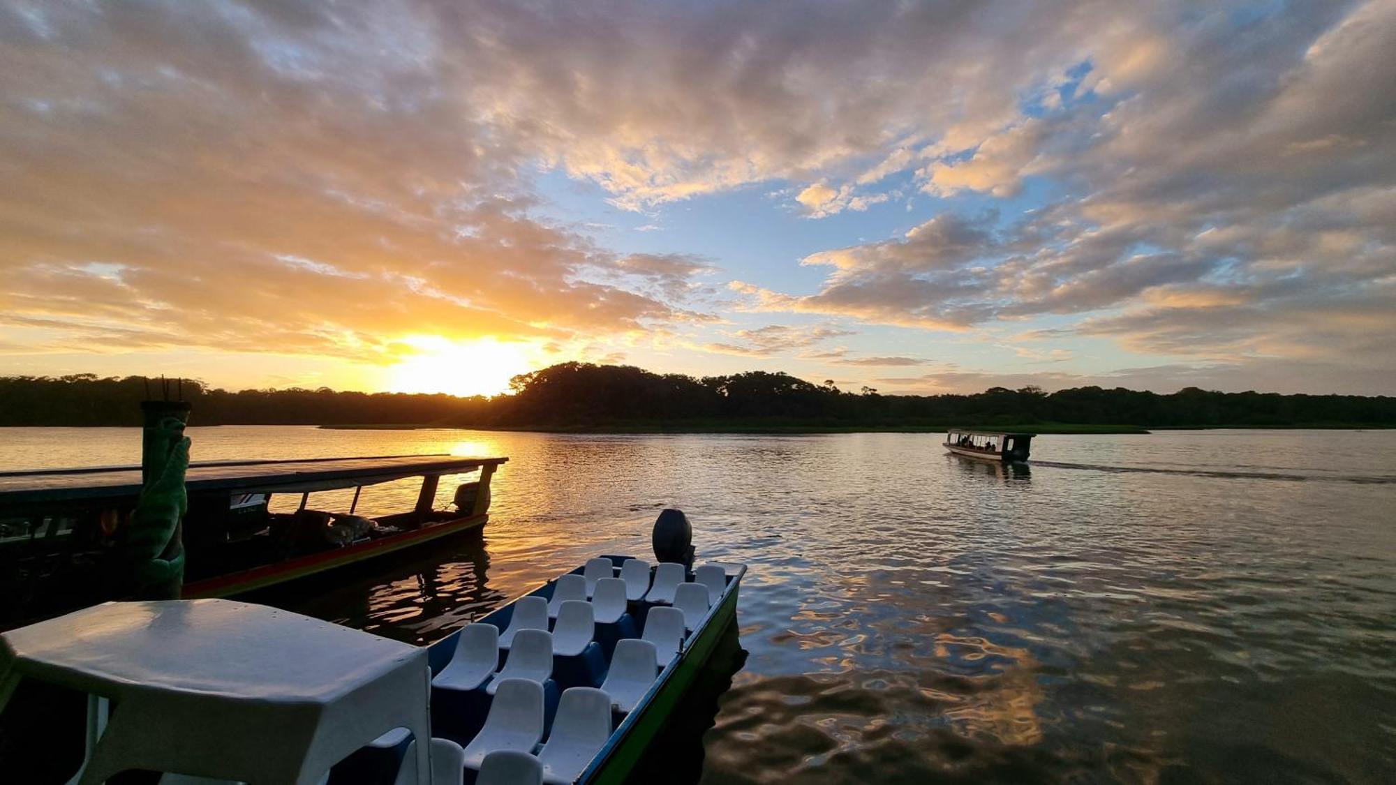 Wildlife Art Tortuguero Hotel Ngoại thất bức ảnh