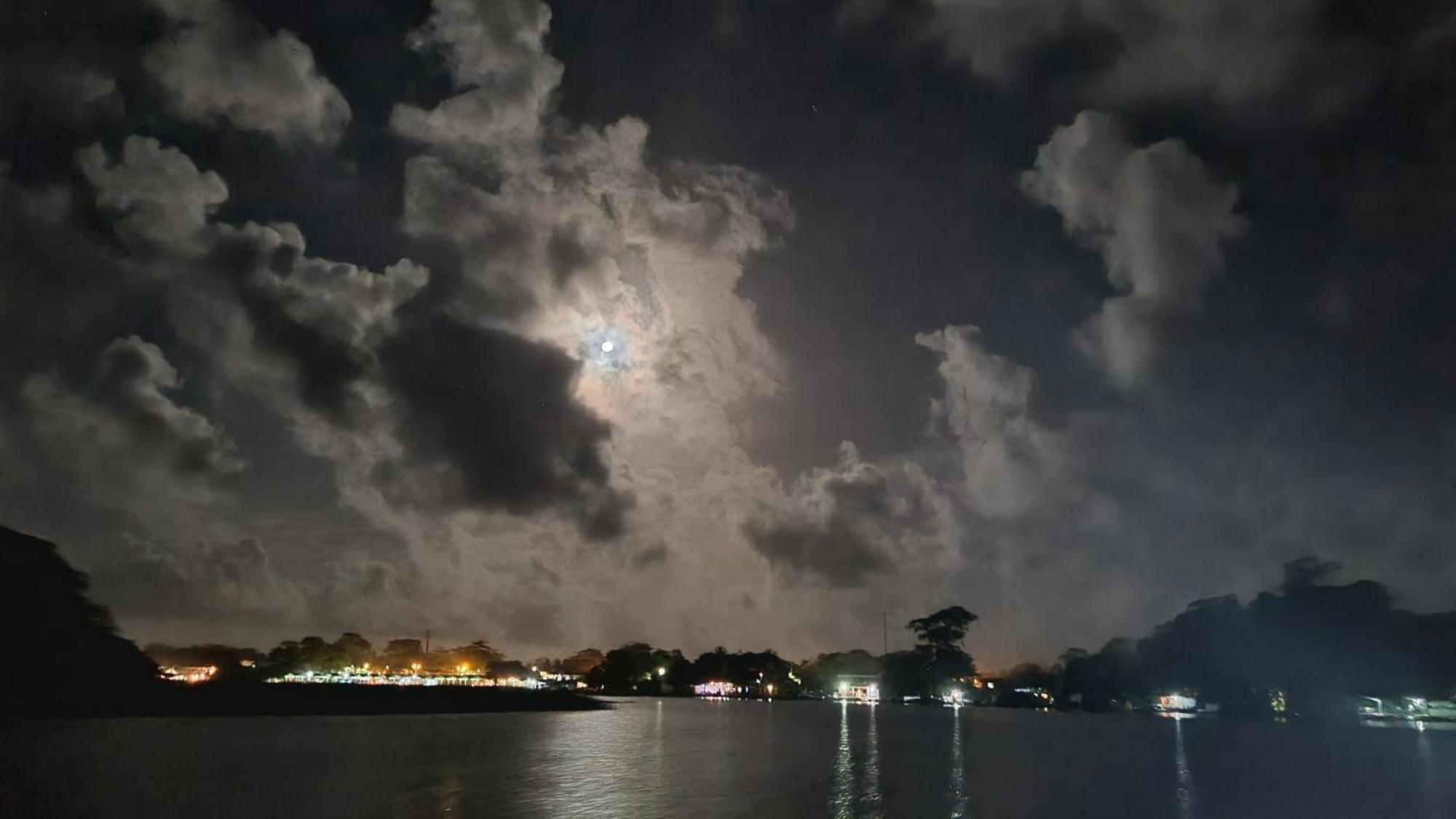 Wildlife Art Tortuguero Hotel Ngoại thất bức ảnh