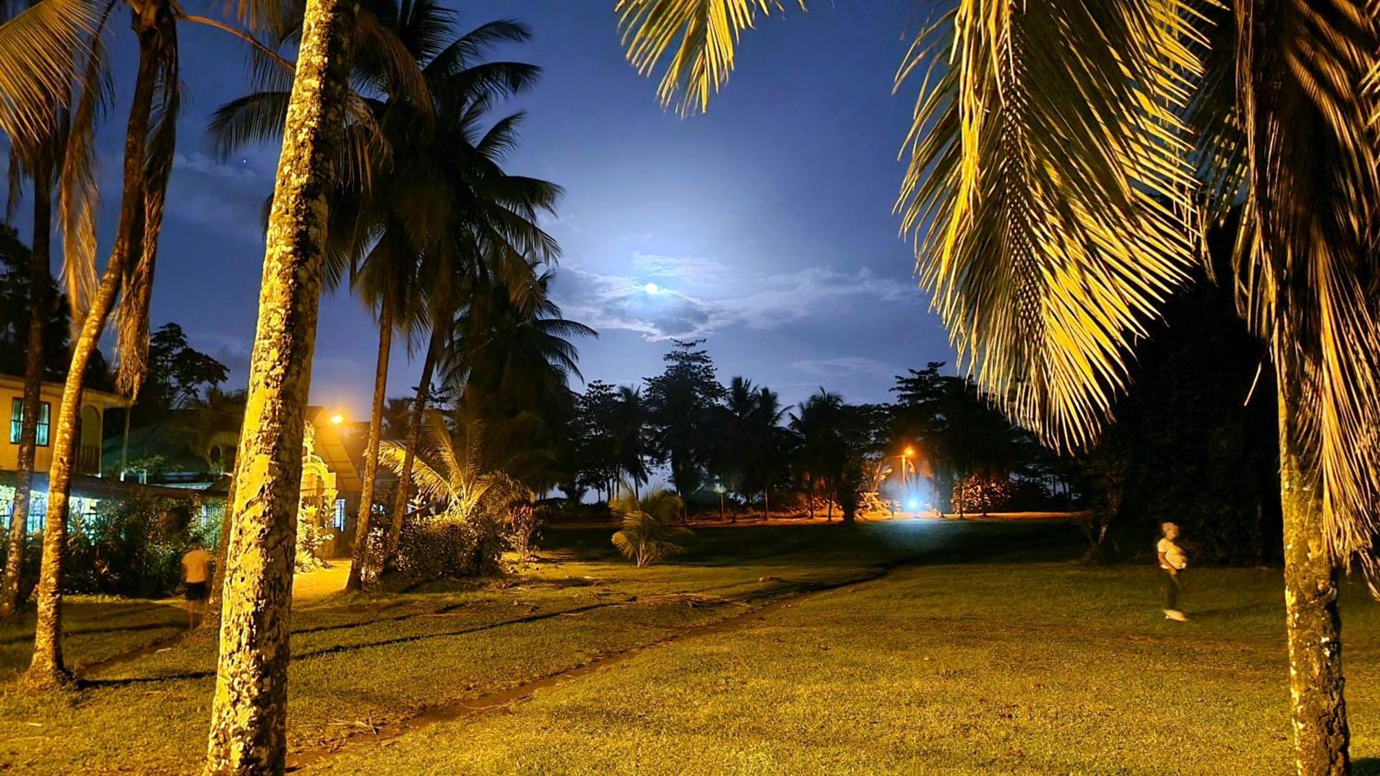 Wildlife Art Tortuguero Hotel Ngoại thất bức ảnh