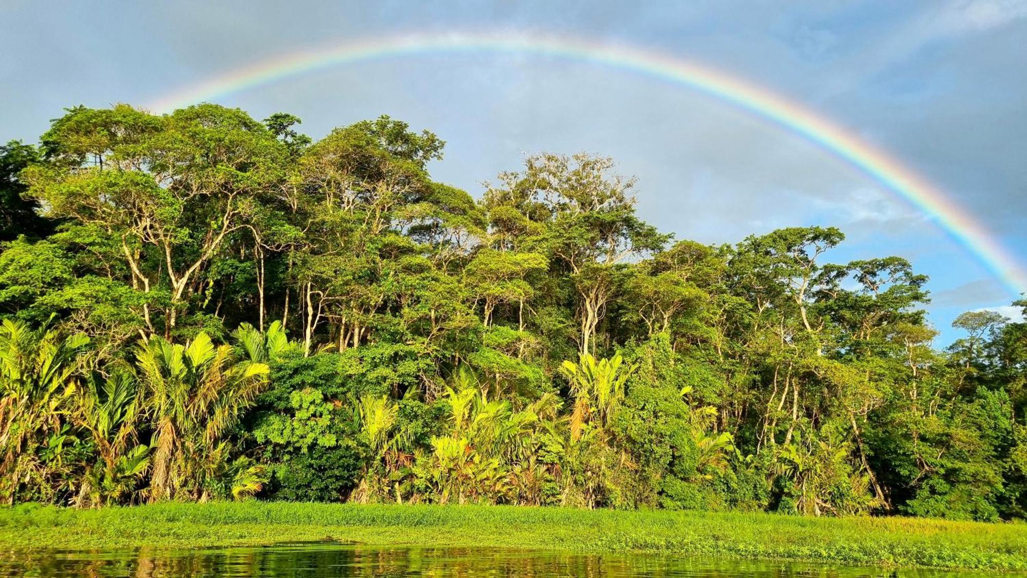 Wildlife Art Tortuguero Hotel Ngoại thất bức ảnh